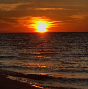 Meet your Posher, Riley